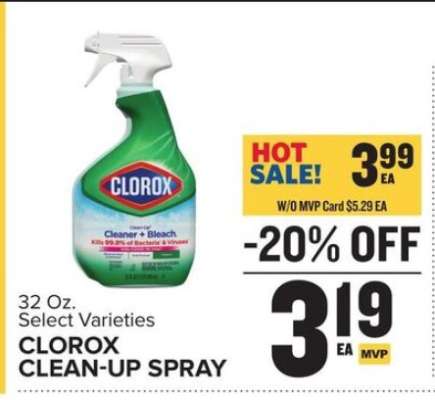Clorox Clean Up Spray