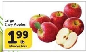 Large Envy Apples
