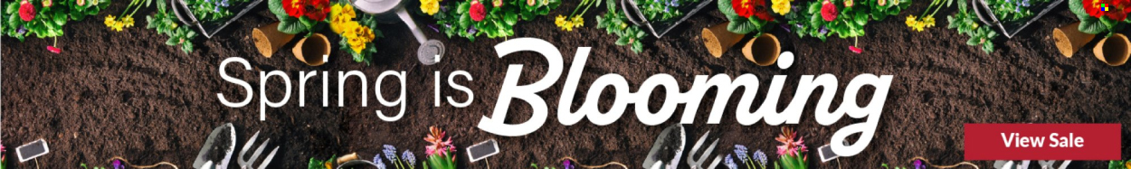 Big Y ad - 03/19/2026 - 03/25/2026. Page 9