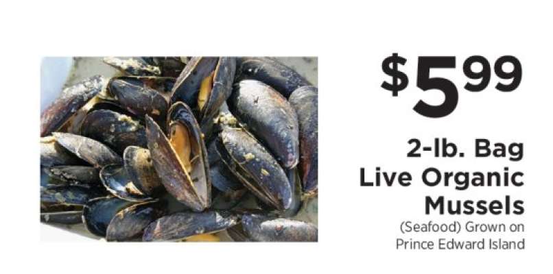 Live Organic Mussels