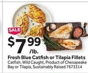 Fresh Blue Catfish or Tilapia Fillets