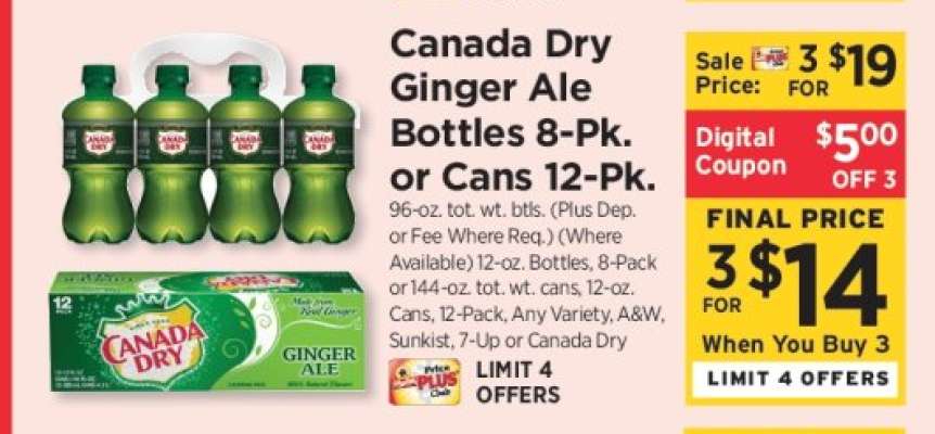 Canada Dry Ginger Ale Bottles 8-Pk or Cans 12-Pk