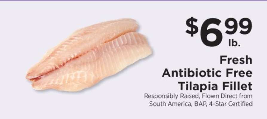 Fresh Antibiotic Free Tilapia Fillet