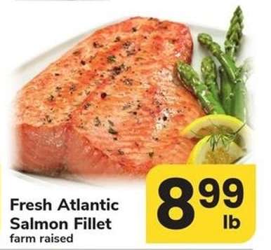 Fresh Atlantic Salmon Fillet