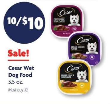 Cesar Wet Dog Food*
