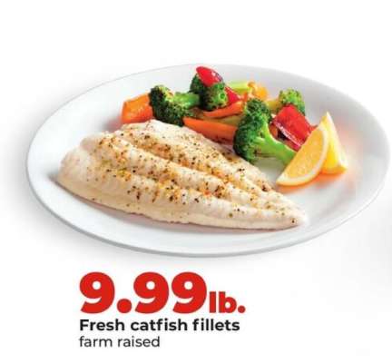 Fresh Catfish Fillets