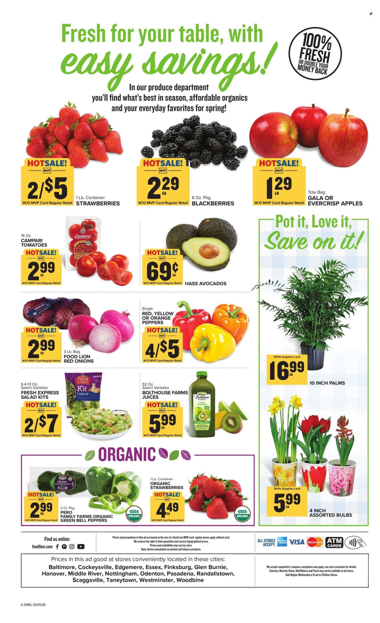 Food Lion ad - 03/25/2026 - 03/31/2026. Page 2