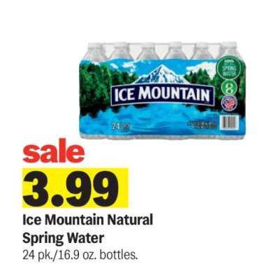 Ice Mountain Natural Spring Water