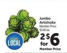 Jumbo Artichoke