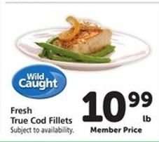 Fresh True Cod Fillets
