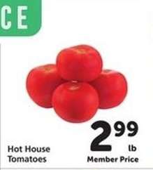 Hot House Tomatoes