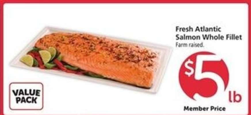 Fresh Atlantic Salmon Whole Fillet