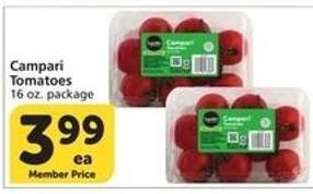 Campari Tomatoes