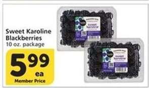 Sweet Karoline Blackberries