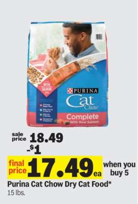 Purina Cat Chow Dry Cat Food