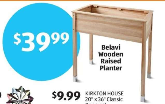 Belavi Wooden Raised Planter