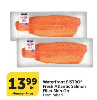 Waterfront BISTRO Fresh Atlantic Salmon Fillet Skin On