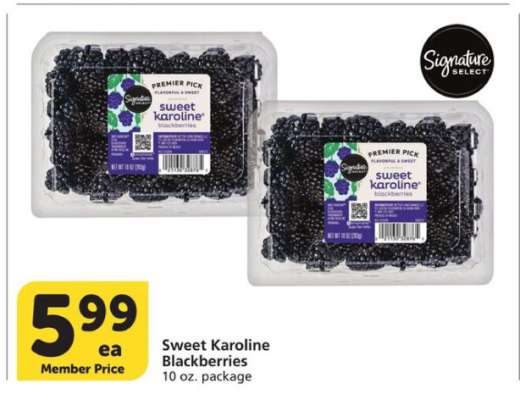 Sweet Karoline Blackberries