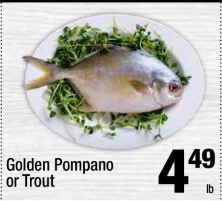 Golden Pompano or Trout