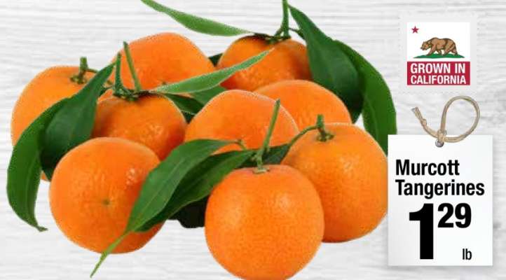 Murcott Tangerines