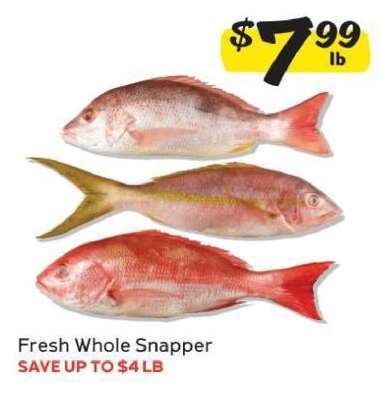 Fresh Whole Snapper