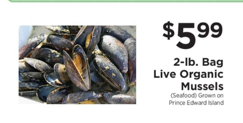 Live Organic Mussels