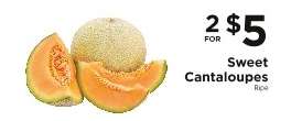 Sweet Cantaloupes