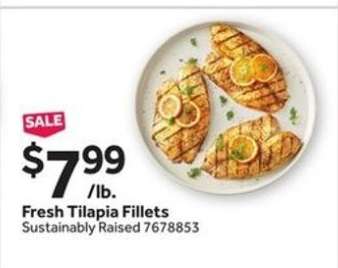 Fresh Tilapia Fillets
