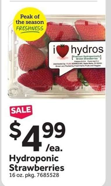 Hydroponic Strawberries