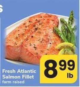 Fresh Atlantic Salmon Fillet