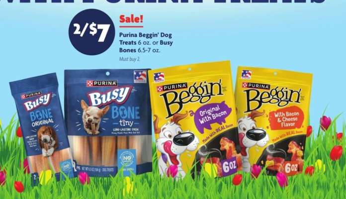 Purina Beggin' Dog Treats or Busy Bones