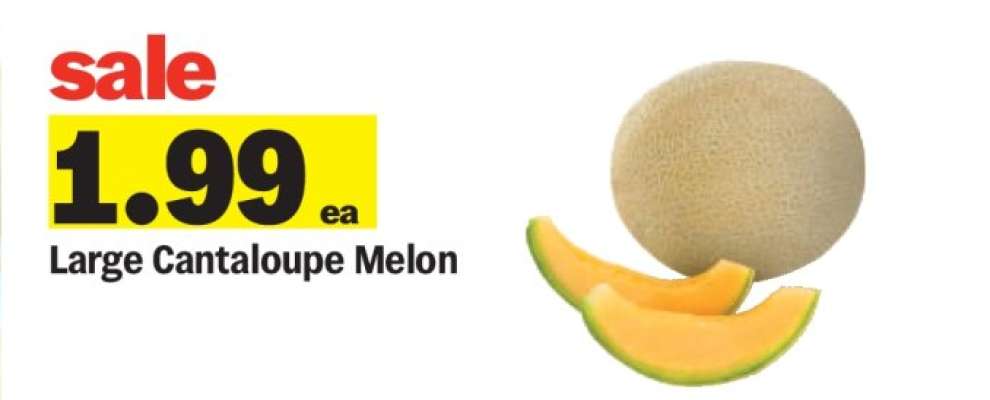Large Cantaloupe Melon