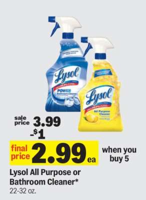 Lysol All Purpose or Bathroom Cleaner