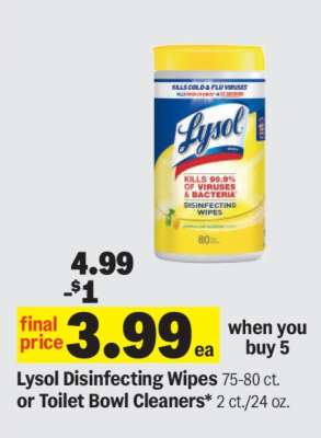 Lysol Disinfecting Wipes or Toilet Bowl Cleaners