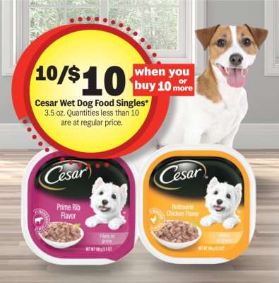Cesar Wet Dog Food Singles*