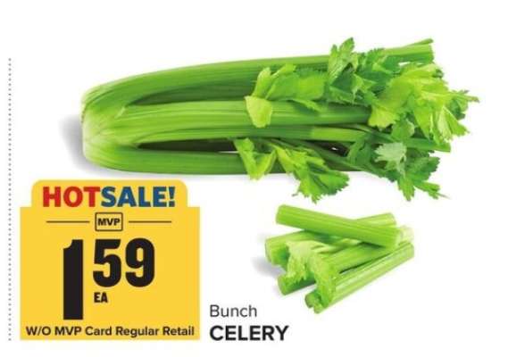 Bunch Celery