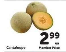 Cantaloupe