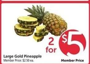 Large Gold Pineapple