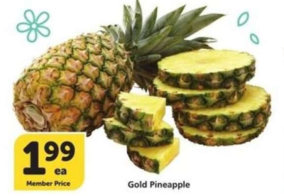 Gold Pineapple