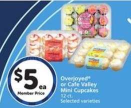 Overjoyed or Cafe Valley Mini Cupcakes