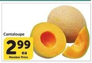 Cantaloupe