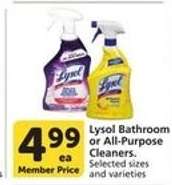 Lysol Bathroom or All-Purpose Cleaners