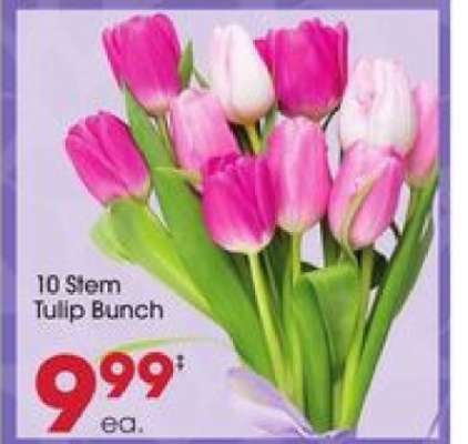 10 Stem Tulip Bunch