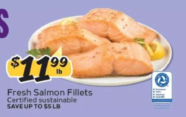 Fresh Salmon Fillets
