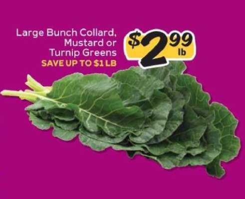 Large Bunch Collard, Mustard or Turnip Greens