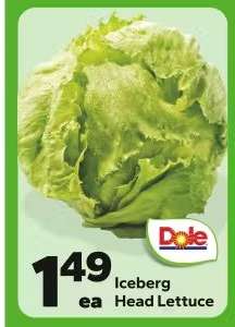 Iceberg Head Lettuce