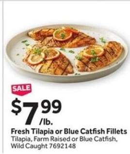 Fresh Tilapia or Blue Catfish Fillets