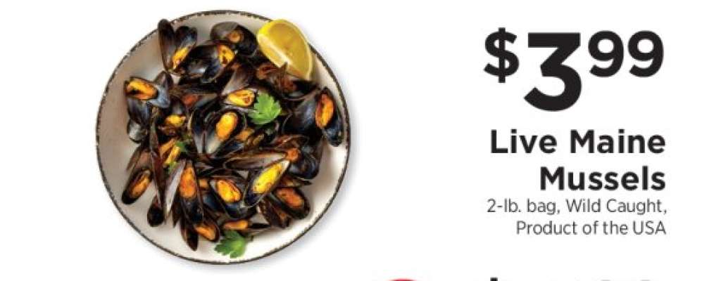 Live Maine Mussels