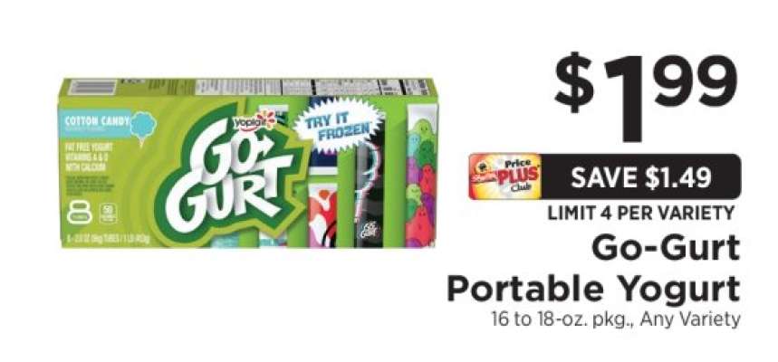 GO-GURT Portable Yogurt