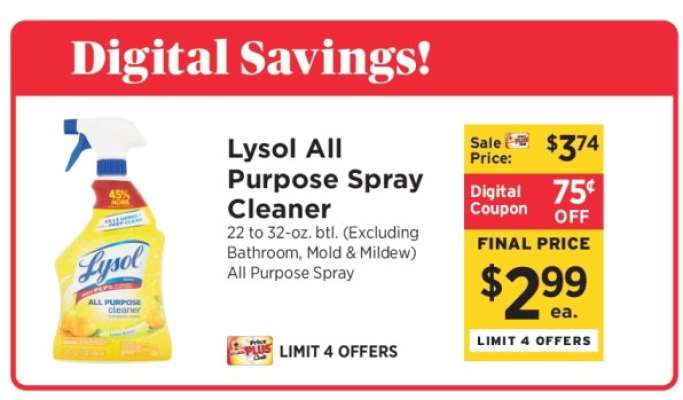 Lysol All Purpose Spray Cleaner